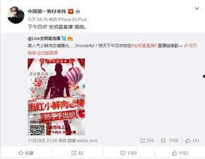 今日爆料在线观看,独家在线观看，揭秘热点事件背后的真相